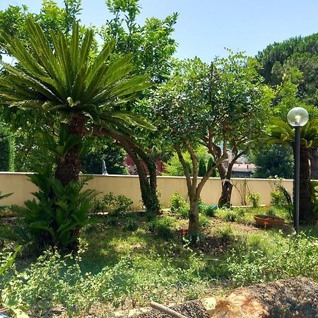Villa Maria Cristina D'Amico Cava deʼ Tirreni Kültér fotó